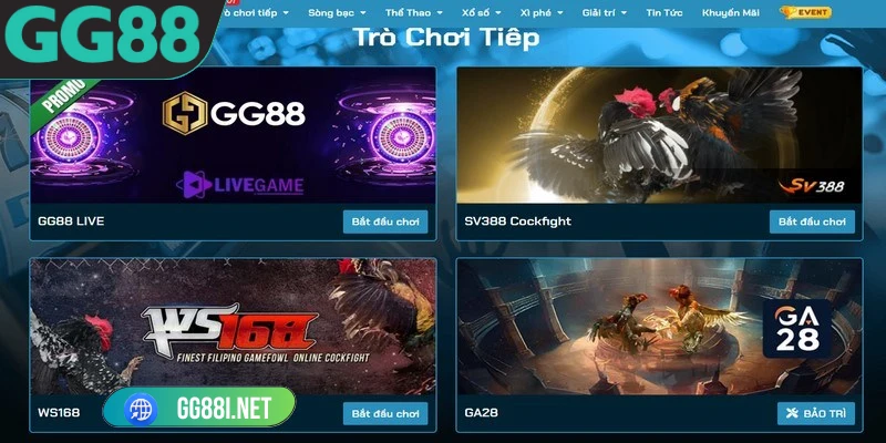 Đá gà GG88