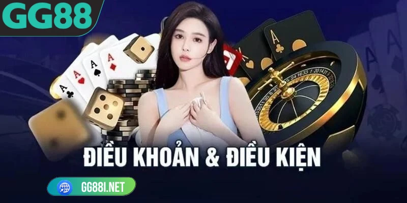 điều khoản điều kiện