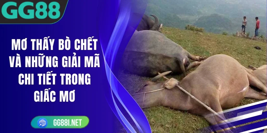 Mơ Thấy Bò Chết