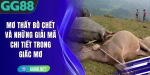 Mơ Thấy Bò Chết